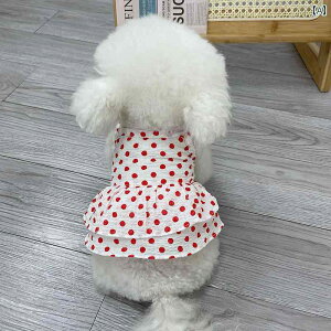  hX XJ[g s[X hbOEFA 킢  ybg t hbg  L bh ubN