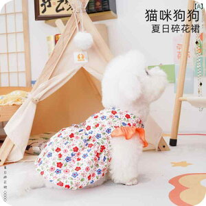  hX s[X hbOEFA 킢  ybg  L ԕ IW CG[