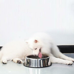 t[h{ a  ybg H XeX v[g H e aM Vv 