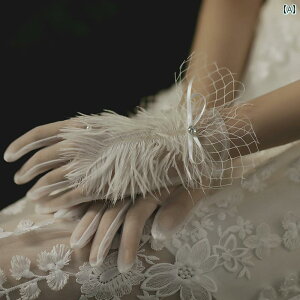 O[u V[g  EGfBO  uC_ ԉ ANZT[ tFU[ bV   