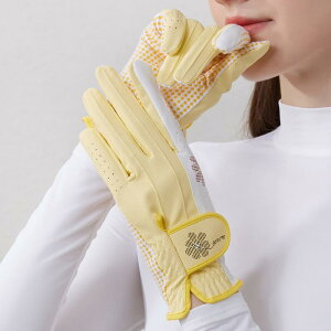 St O[u fB[X    肭  ʋC K nhK[h ؍