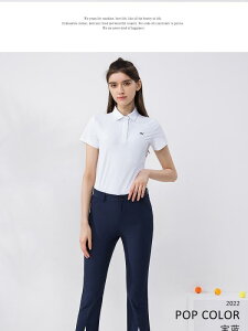 StEFA fB[X  㕪 pc  ʋC K pc X pc AEghA X|[c