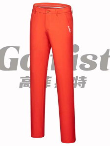 StEFA Y  pc    ʋC K  Xgb` mAC Ot AEghA X|[c JWA pc