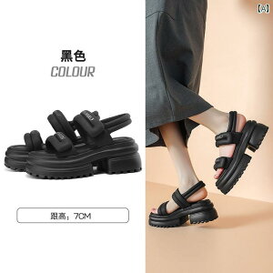 fB[X V[Y C  \tg \[ T_   w  C X|[c ߂