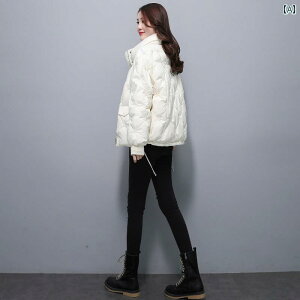 _EWPbg fB[X ~ g  t@bV AE^[ R[g V[g  _E  WPbg