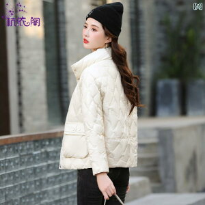 _EWPbg fB[X ~ g  t@bV AE^[ R[g y    ؍     _E  V[g WPbg