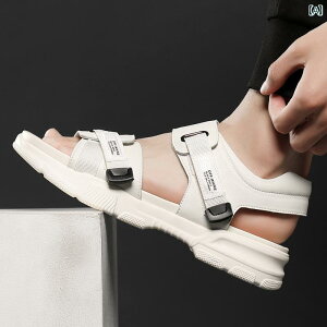 Y T_ Jbv  U[T_ v JWA r[` V[Y ʃt@Xi[ T_ Xbp 傫TCY amC