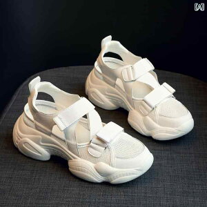 fB[X V[Y T_  AE^[ ɂ ʋC K hL X|[c \tg \[ r[`