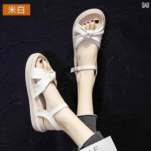 ̎q q T_   ɂ q vZX q r[` _炩 q C