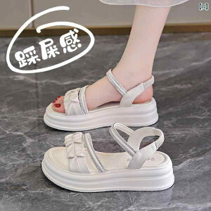 fB[X V[Y T_  AE^[ ɂ 傫߃TCY \tg \[ X|[c [} r[` T_