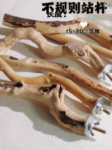 i  ybg V  ߋ ^s XgX IE CR ~܂  XeBbN tȒP  P[W  lW