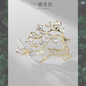 �u���[�` ���f�B�[�X �A�N�Z�T���[ ��̓� �M�t�g �� ���I �G���K���g �X�[�c �R�T�[�W��