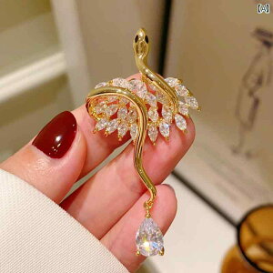 �u���[�` ���f�B�[�X �A�N�Z�T���[ ��̓� �M�t�g �� �� �u �y�� ������ �X�g�[�� �� �` �R�T�[�W�� �G���K���g �X�[�c