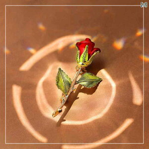 �u���[�` ���f�B�[�X �A�N�Z�T���[ ��̓� �M�t�g ���g�� �� �o�� �R�T�[�W�� ���� ������ �o�����^�C�� �f�[