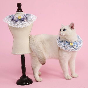 L  ybgp X^C 悾ꂩ `[J[ { lN^C ANZT[ 킢  |GXe XgCv sN  bh 