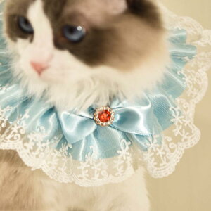 ybg X^C  Lp [X lN^C { Ώ  XJ[t |GXe JWA  킢 `FbN t[c