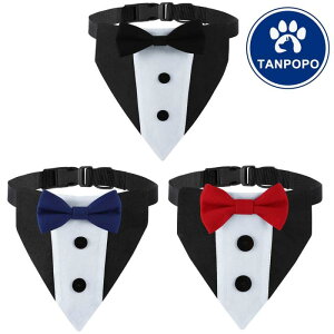 p ^ ^ ^ Op o_i X^C lN^C XJ[t X[c |GXe oCJ[ U o tH[} 悾ꂩ ubN bh u[