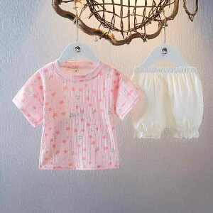 xr[ ̎q ĕ 킢 ԕ  TVc V[gpc   2_Zbg  JWA [EFA zCg sN Ԃ