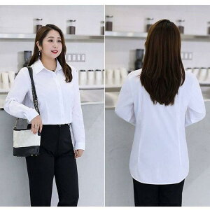 Vc fB[X 傫TCY  VtH |GXe | rWlX tH[} [NEFA ʋ ItBX ꂢ zCg