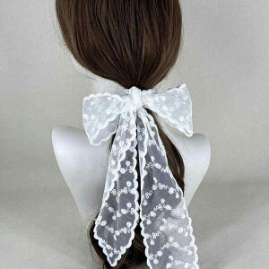 XJ[t fB[X [X O  ؍ |GXe   wAANZT[ }`EFC ԕ hJ t