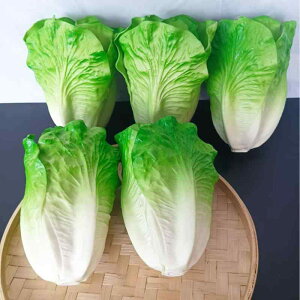 HiTv ^X  hq CQ Jt[ lM iX Z S[ LE w`} PU A { fBXvC Bep CeA 