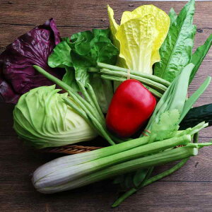 HiTv tFCN |E^  hq TCQ Jt[ lM jjN Z S[ LE w`} ^X A fBXvC  Be