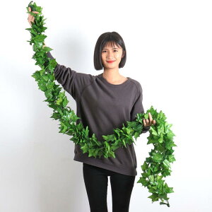 tFCNO[ lHϗtA c^̗t   K[h  V ݂艺 Ǐ tFX A vX`bN ԉo CeA eiXsv