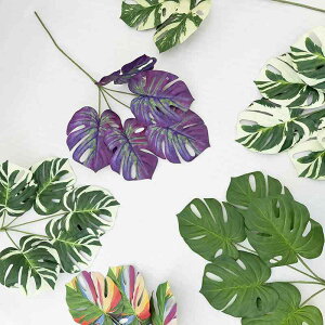 tFCNO[ Xe |gX i AȎG ^ lHϗtA rO   u CeA  IuWF