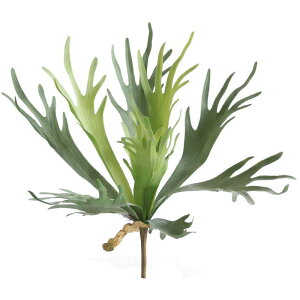 tFCNO[ RE T{e lHϗtA tFCN[t A  CeA fBXvC   PVCf t