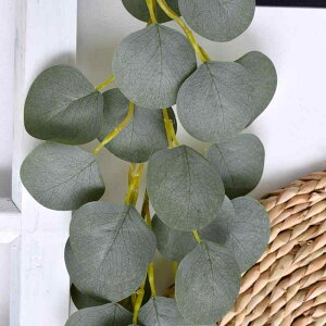 tFCNO[ [J K[h   EFfBO uC_ A { CeA Ǌ| ݂艺 Oc Xܑ Cxg fBXvCp