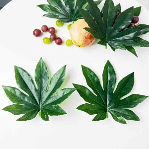 tFCN[t  cf̗t [ X܃fBXvCp Ɩp HX t[cR[i[ t t e[uo