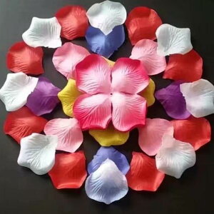 Ԃт o  sDz EFfBO  p[eB[ I Cxg  fR[V op v|[Y Be TU炵 tFCN  sN  VpJ[