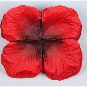 [Yy^ z 1000  oԂт t[V[  EFfBO uC_ Cxg p[eB  t  fR[V  