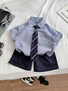 xr[ j̎q XN[ lN^Ct  XgCv CVc V[gpc ㉺Zbg tH[} Rbg   u[ JWA \ ʉ o