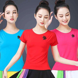 ダンスウェア レディース ミセス シニア 半袖 刺繍 民族調 エスニック風 モダール ビスコース 社交ダンス 練習着 舞台衣装 トップス