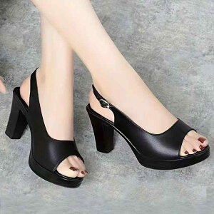 T_ fB[X  nCq[ Xg[ I[vgD q[ `L[q[ 傫TCY ~ZX }} JWA ig o PUU[ Xgbv ubN