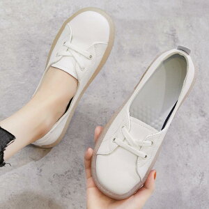 Xb| fB[X {v v JWAV[Y 󗚂 EhgD \tg\[ _炩ȗSn NbV }^jeB Dwp ig t [Jbg zCg ubN 