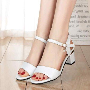 T_ fB[X 傫TCY  t ig  t@bV g Vv EFbW\[ q[ q[ I[vgD Xgbv obN PUU[ S