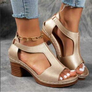 T_ fB[X I[vgD EFbW\[ q[ ~hq[ obNXgbv [} OfBG[^[ 傫TCY  L ₷ 芴 PUU[ 