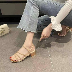 ~[ fB[X GKg t`X^C CXg[ Xgbv ~hq[ XNGAgD 傫TCY t x[W VpJ[