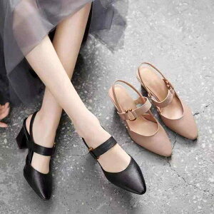 T_ fB[X XNGAgD obNXgbv q[ z[XV[q[ PUU[ JWAV[Y  ig o ~hq[ AC{[ ubN x[W 