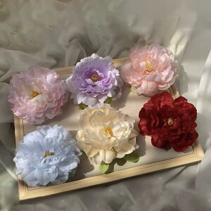  fB[X O Õ     _bJ[Nbv  ^ 킢 wAANZT[  bV Cxg RXv