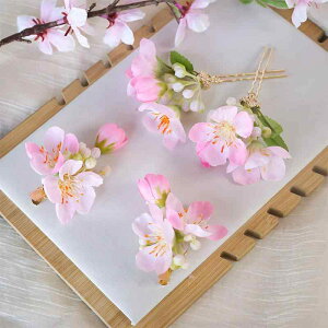 wAANZT[ fB[X  Õ niJChE   t[`[t  t[ ڗ  wANbv a    Ǝ l Cxg