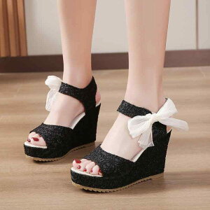 T_ fB[X t JWA  EFbW\[  I[vgD { 傫TCY zf S ANXgbv ubN x[W