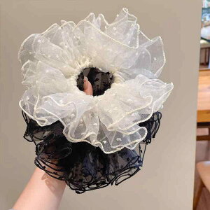 VV fB[X ubN bV hbg i GKg  킢 {[ [X nhCh wAS  wAANZT[ ig t@bV