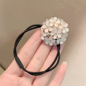 wAS fB[X ؗX^C  t[ X ~` T[N  ^ Vv i GKg l킢   wAANZT[ ig ItBX JW