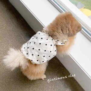 �y�b�g�� ���^�� �ėp ���� �v�����Z�X�h���X �����s�[�X �؍� ���킢�� SNS�f�� �h�b�g�� �J�W���A�� �g�C�v�[�h�� �r�V�����t���[�[ �|�����j�A�� �|���G�X�e��