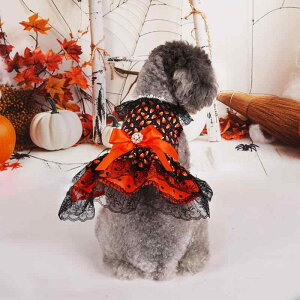 ybg ̎q ^ Lp s[X hX [X nEB RX`[ j[N 킢 ĕ H~ |GXe Rbg