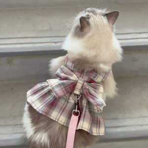 Lp n[lX  s[X hX t [h  U o vZX Pl 킢 |GXe sNp[v x_[