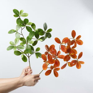 tFCNO[ cf VFt AȎG {  rO CeA fBXvC  }t vX`bN O[ H